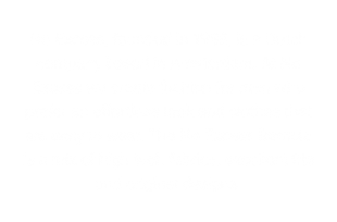 no-excess